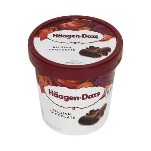 Häagen Dazs Belgian Chocolate Ice Cream 460Ml