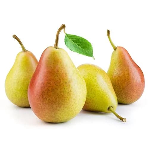 Rosemary Pear