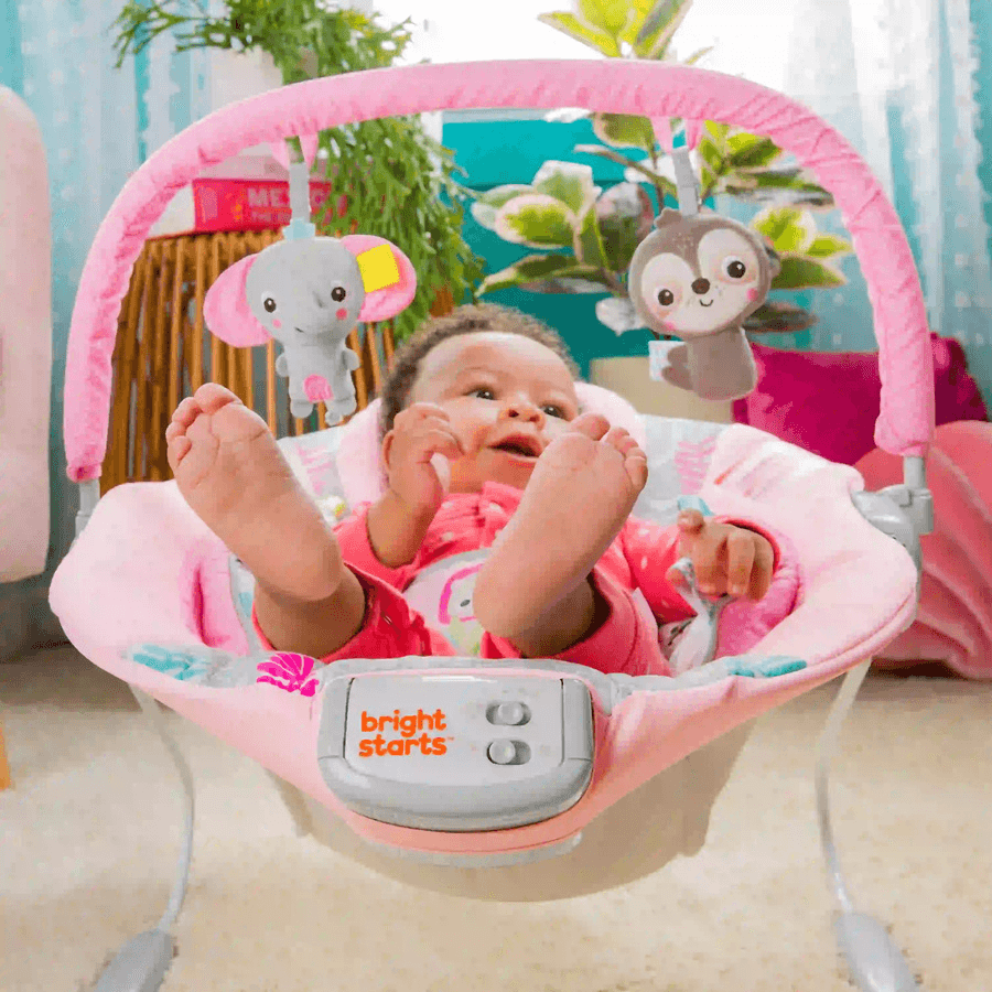 Rosy Vines Comfy Bouncer