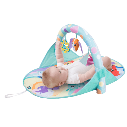 Puppy And Me Activity Travel Gym Playgro