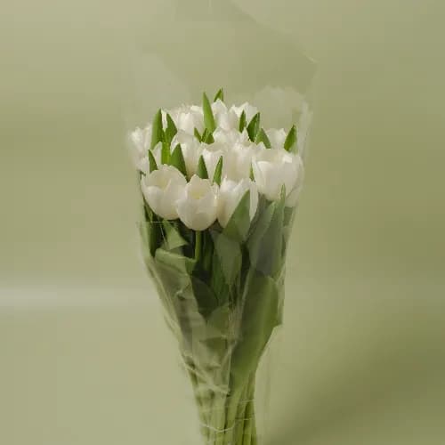 20 White Tulip Set No.2300