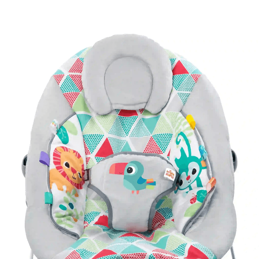Toucan Tango Bouncer