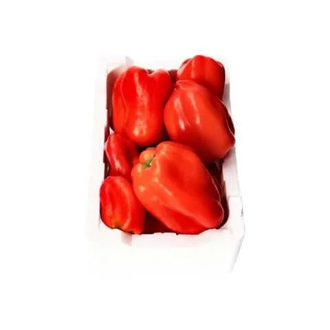 Foam Pack Capsicum Red