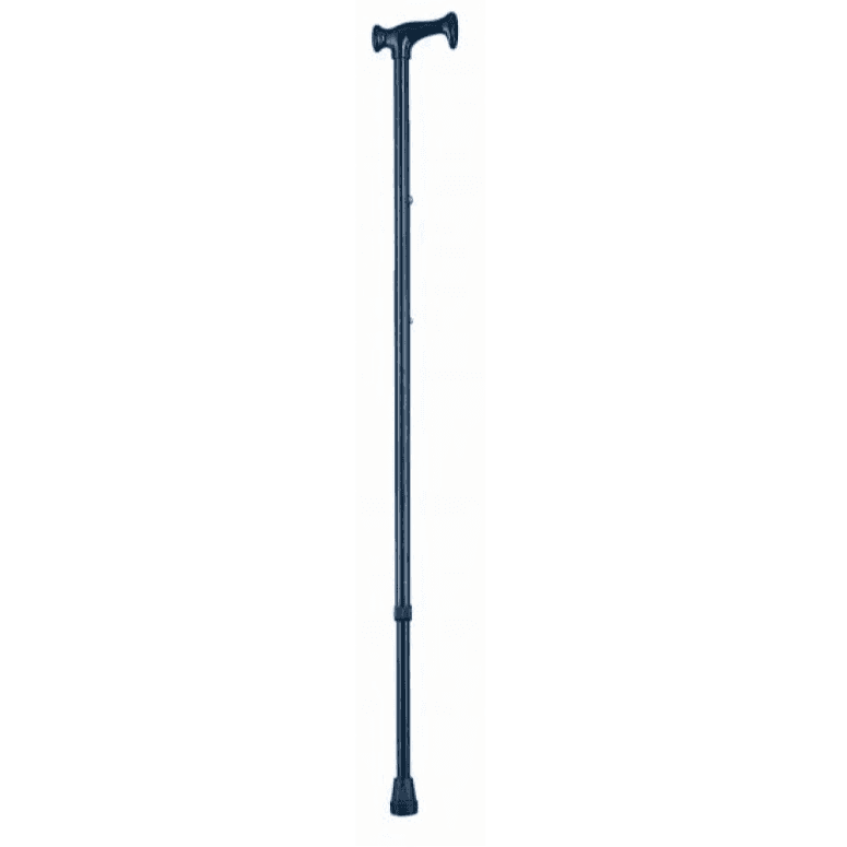 Walking Stick (Ca833l1)