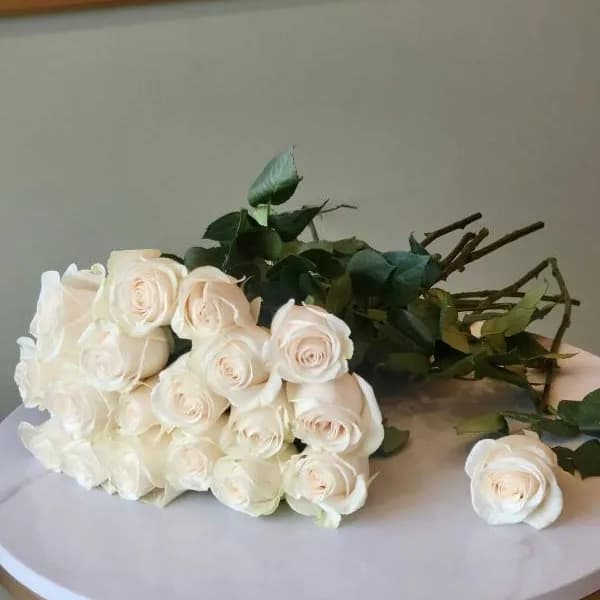 100 White Roses Flower Set No.2420