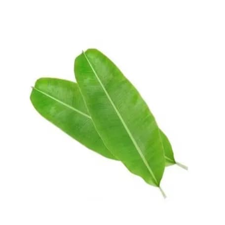 Indian Banana Leaf