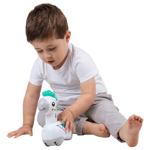 Playgro - Light Me Up Push And Go Musical Llama