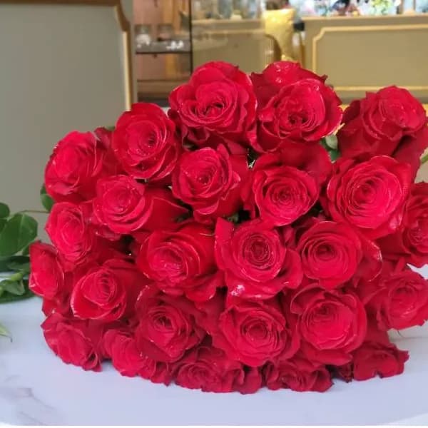 25 Red Roses Set No.2210