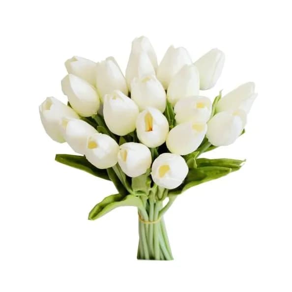 30 White Tulip No.2386