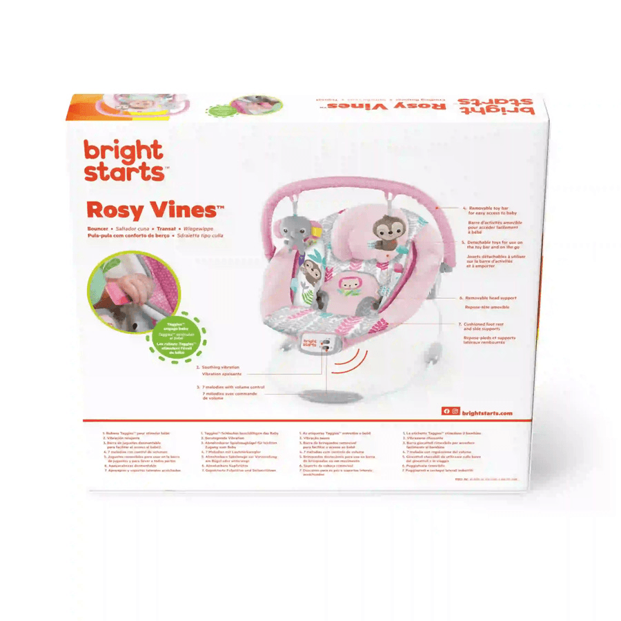 Rosy Vines Comfy Bouncer