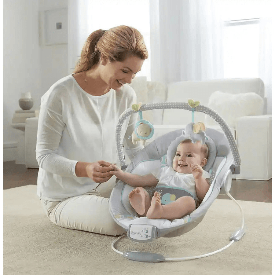 Ingenuity Soothing Bouncer Morrison