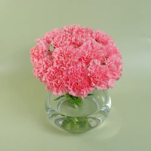 Blooming Carnation Bouquet 2608