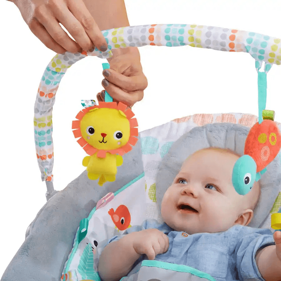 Bright Starts Whimsical Wild Comfy Bouncer