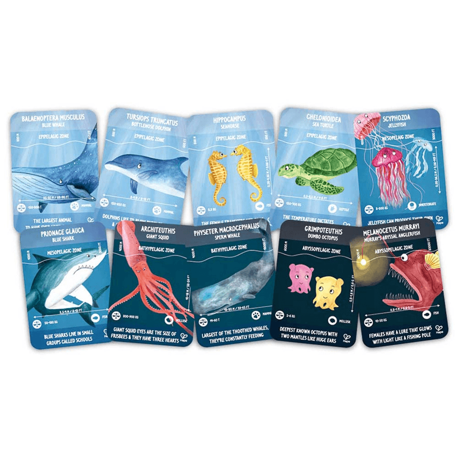 Hape - Ocean Life Puzzle