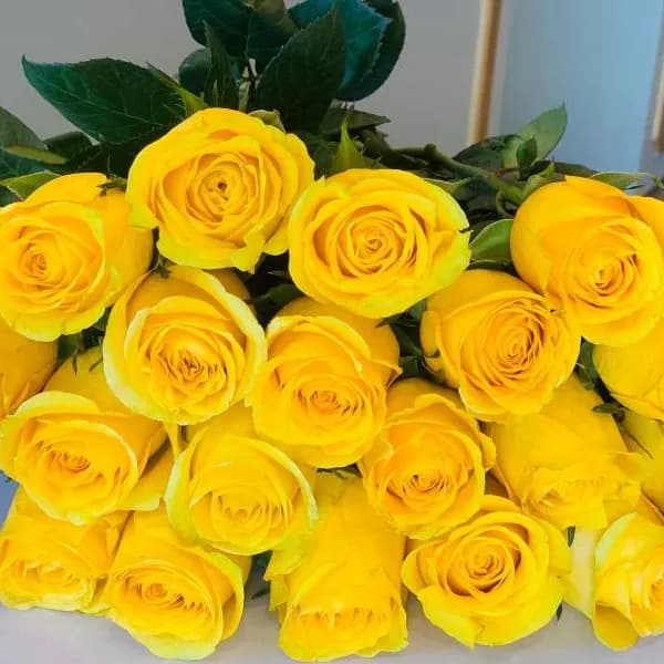 25 Yellow Roses Set No.2211