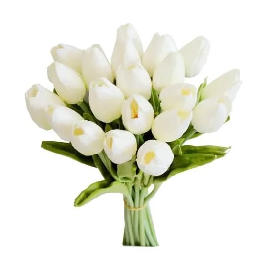 10 White Tulip Set No.2165