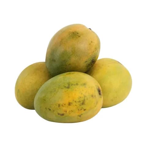 Mango Alphonso