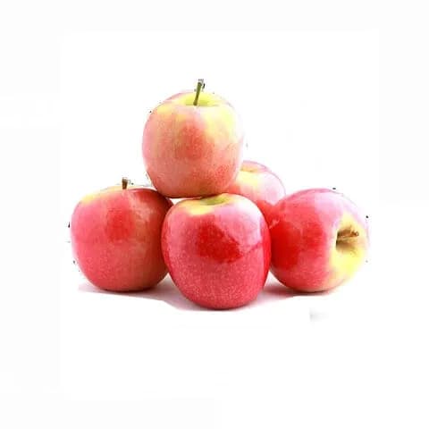 Apple Pink Lady Large