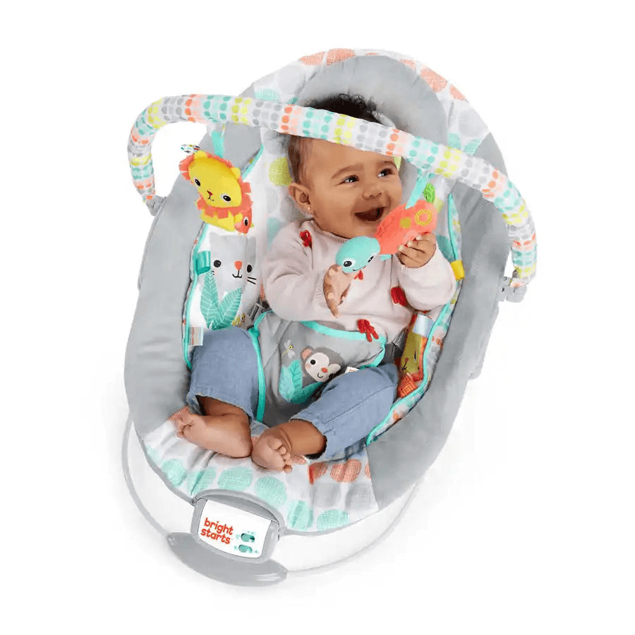 Bright Starts Whimsical Wild Comfy Bouncer