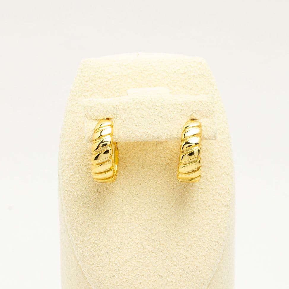 Hoop Earring