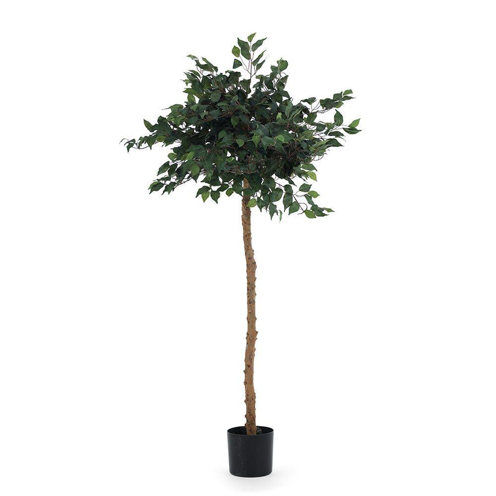 Topiary Ficus Artificial Tree With Pot, Green Â€“ 170 Cms