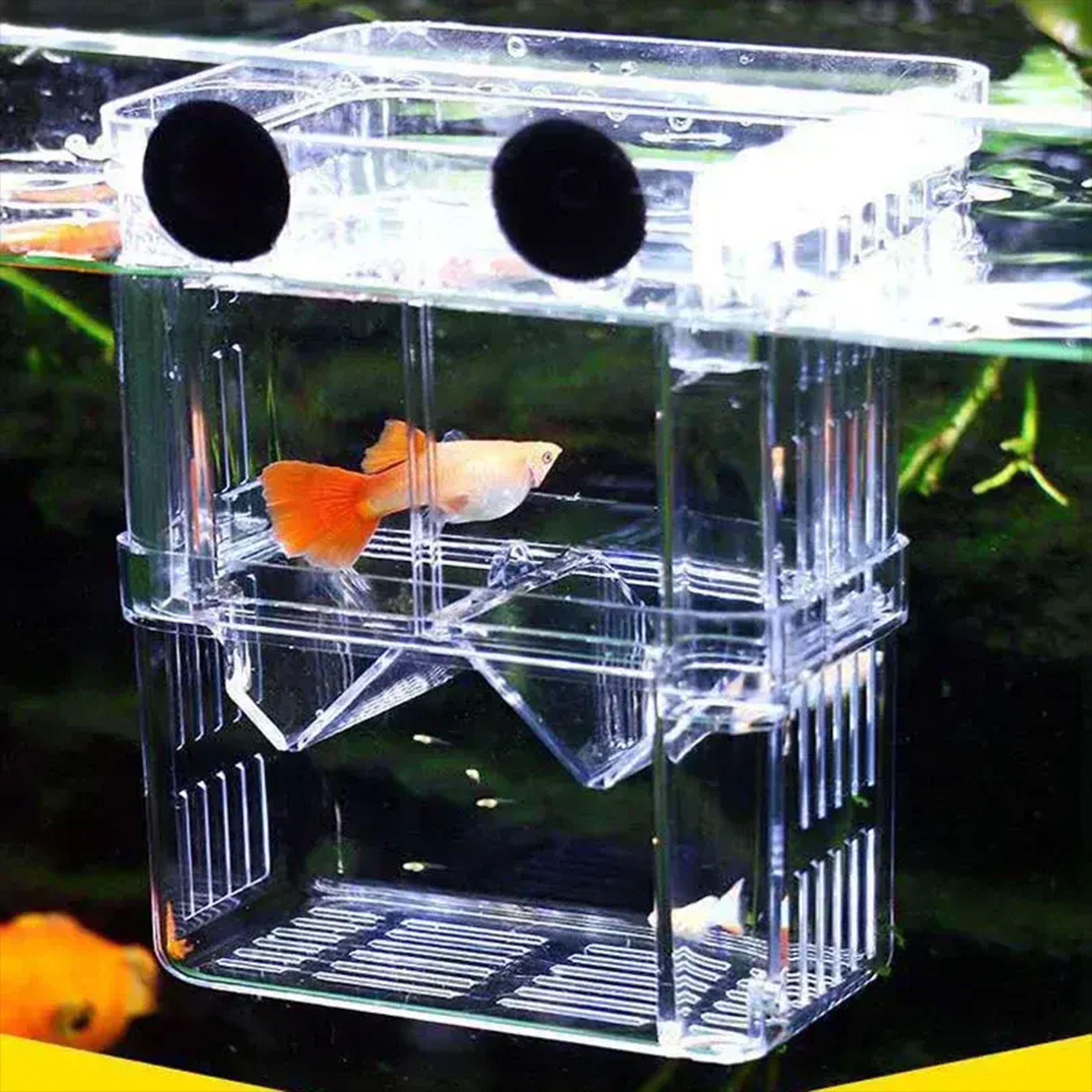 Fish Breeding Box Acrylic