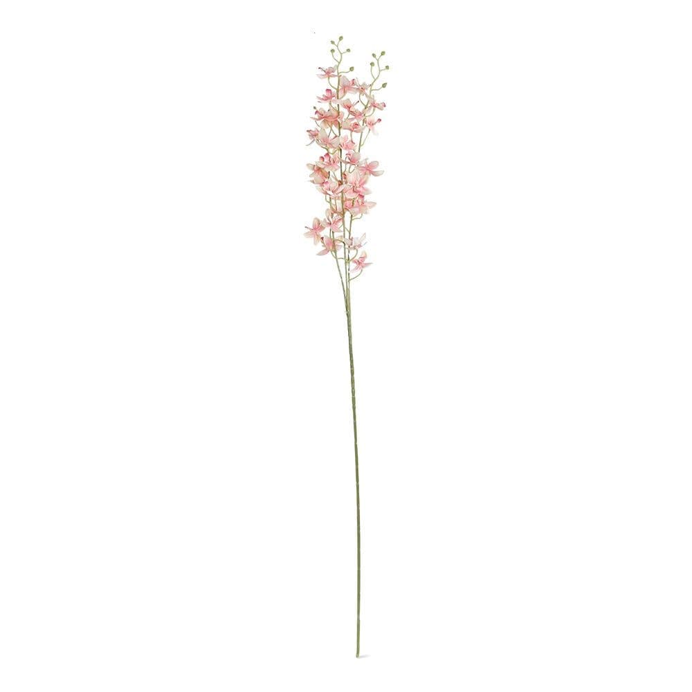 Cymbidium Spray, Cream Peach - 88 Cm