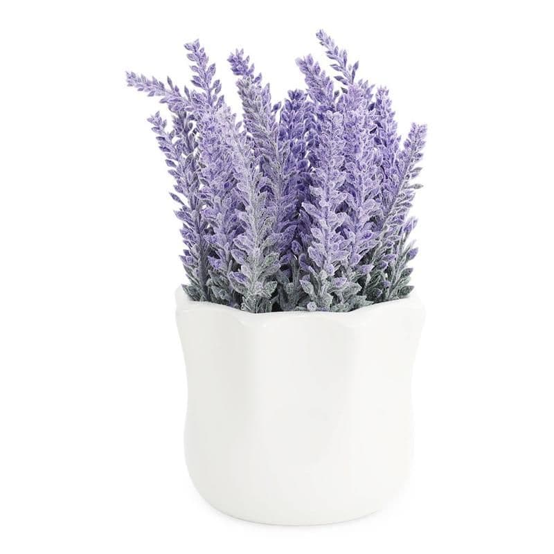 Nadz Flower Arrangement, Purple - 20Cm