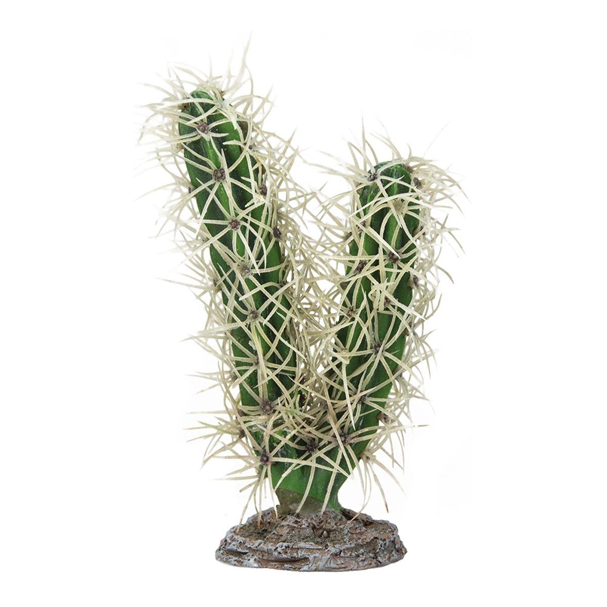 Cactus Simpson