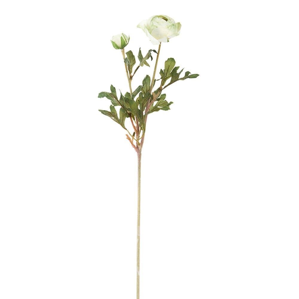 Ranunculus Ball Spray, Green - 62 cm