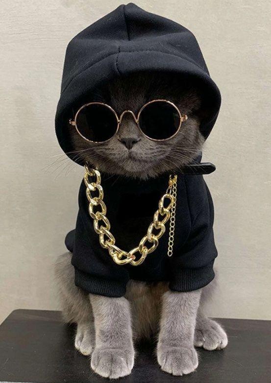 Pet Hoodie & Necklace & Sunglasses Set (Large)