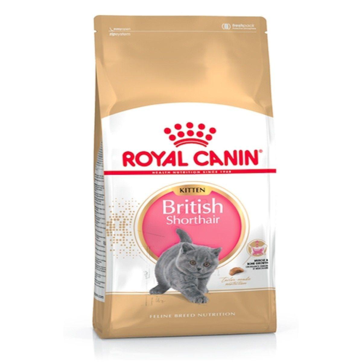 Royal Canin Nutrition British Shorthair Kitten 2 KG