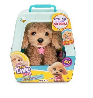 Little Live Pets Mrr Puppy - Curley