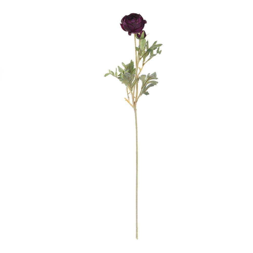 Ranunculus Ball Spray, Eggplant Â€“ 62 Cms