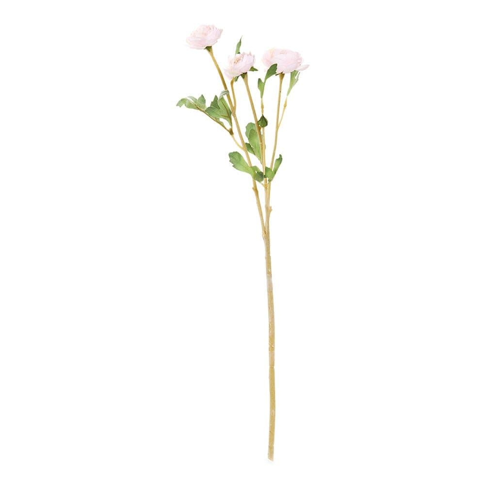 Mini Ranunculus Spray, Soft Pink - 50 Cm