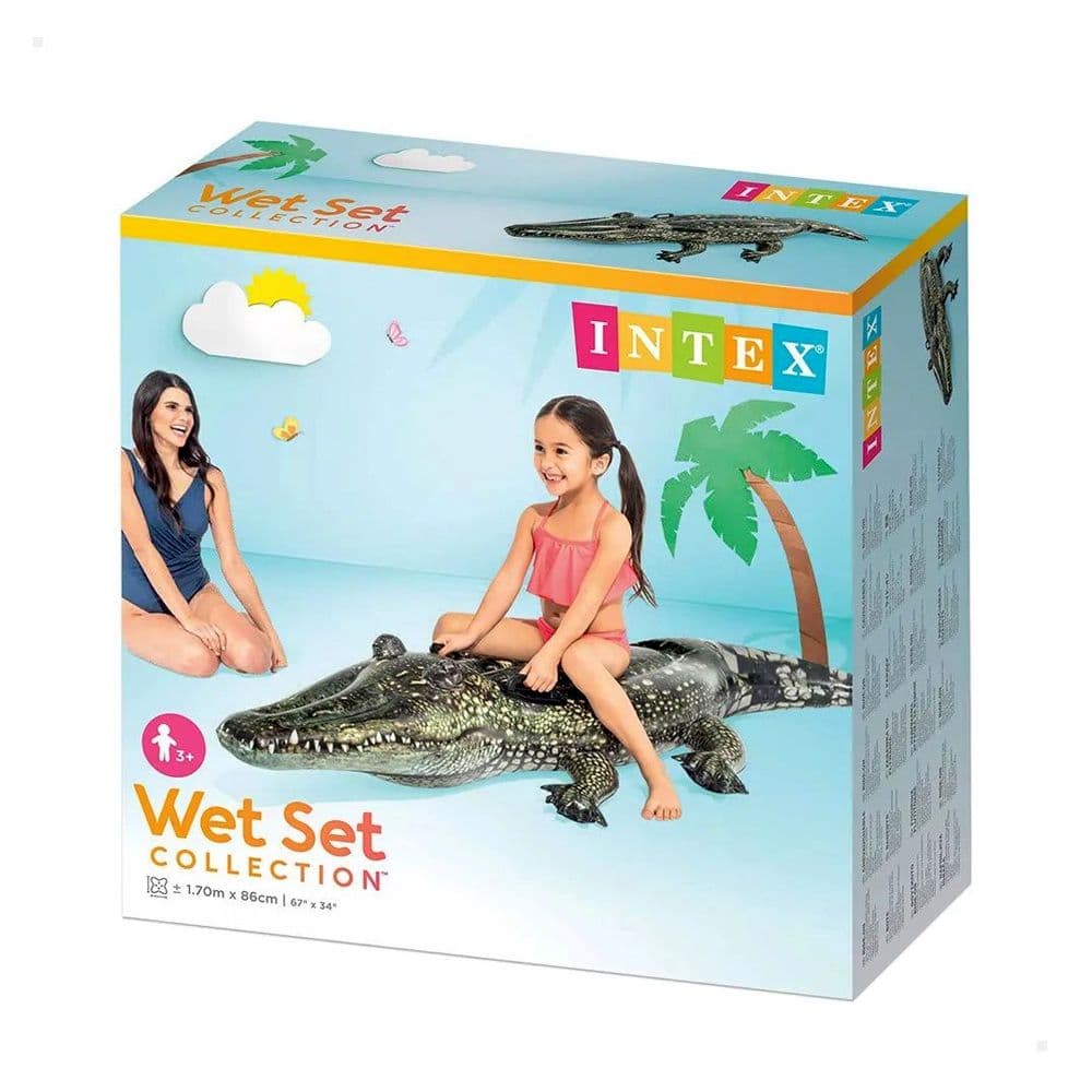 Intex Wet Set Collection 1.70M X 86Cm 57551Np No.17656