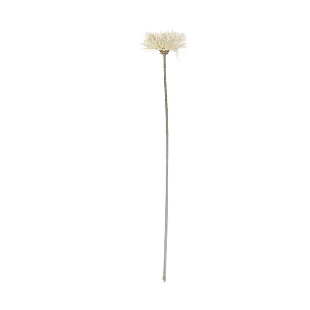 Flocked Spider Gerbera Stem, Ivory Â€“ 55 Cms