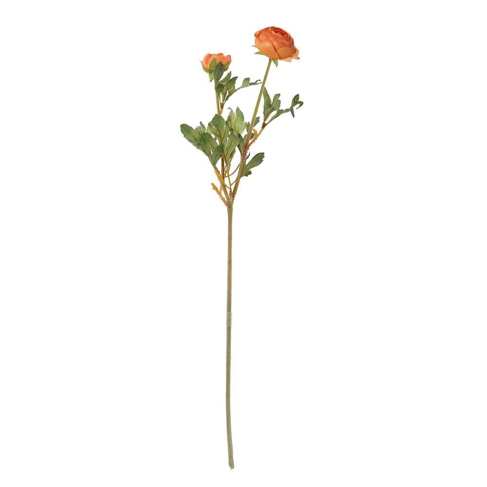 Ranunculus Ball Spray, Apricot Â€“ 62 Cms