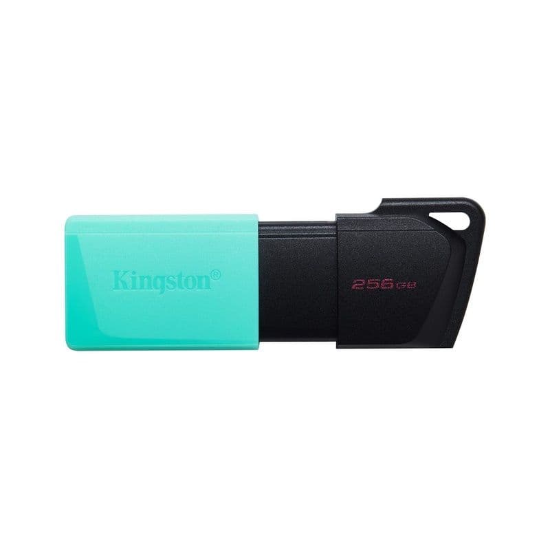 Kingston 256Gb Exodia M Dti Usb 3.2G1