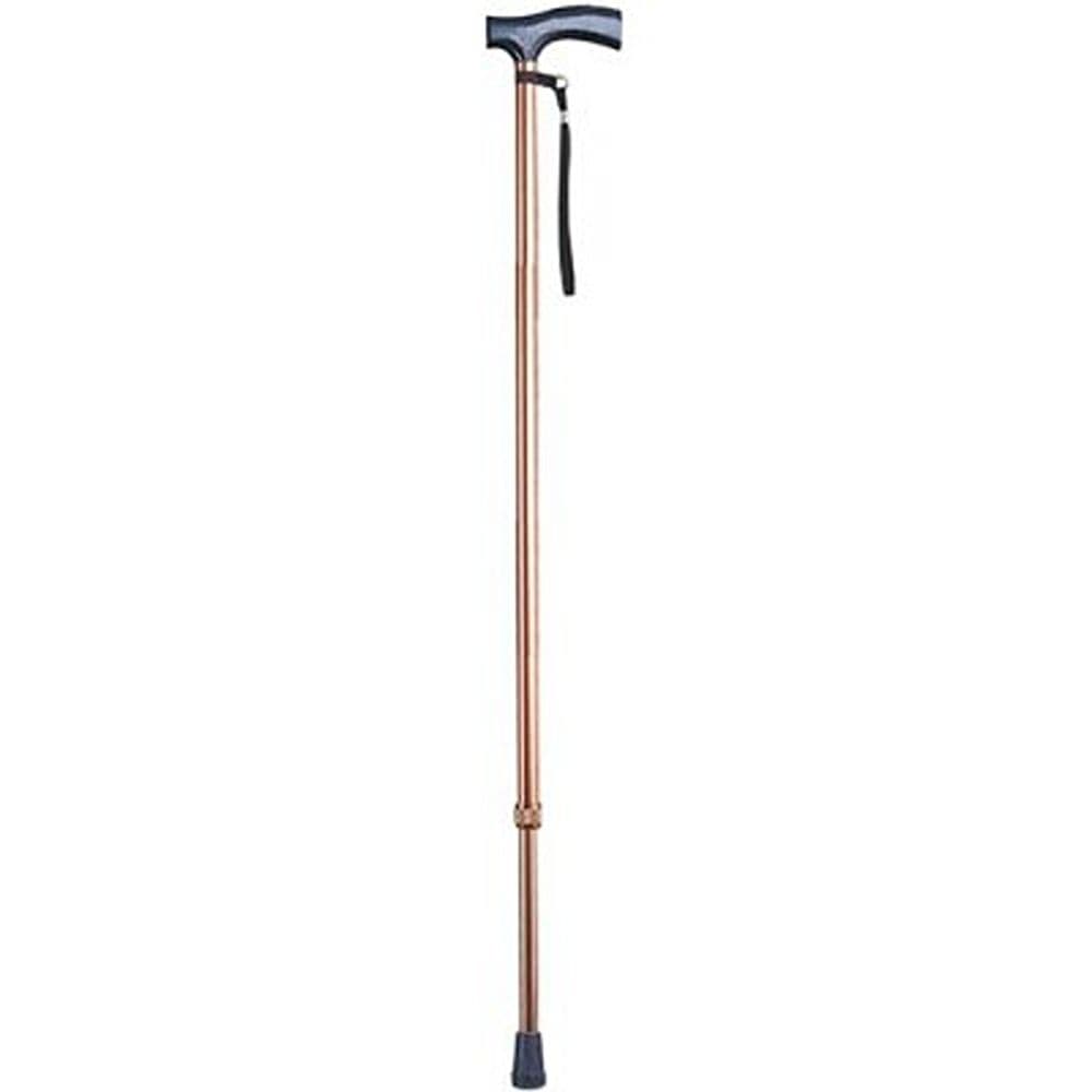 Ca833L2-Walking Stick(18599)