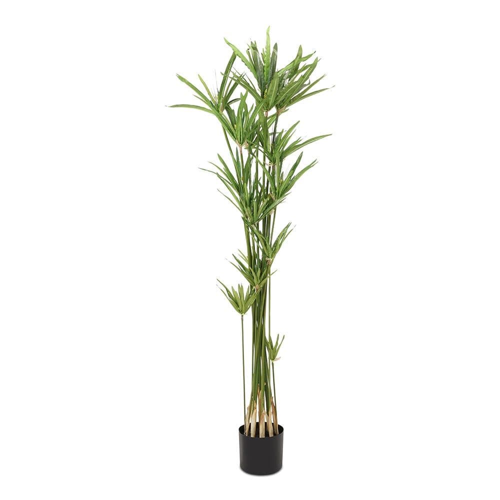 River Style Cyperus Artificial Tree, Green Â€“ 152 Cm