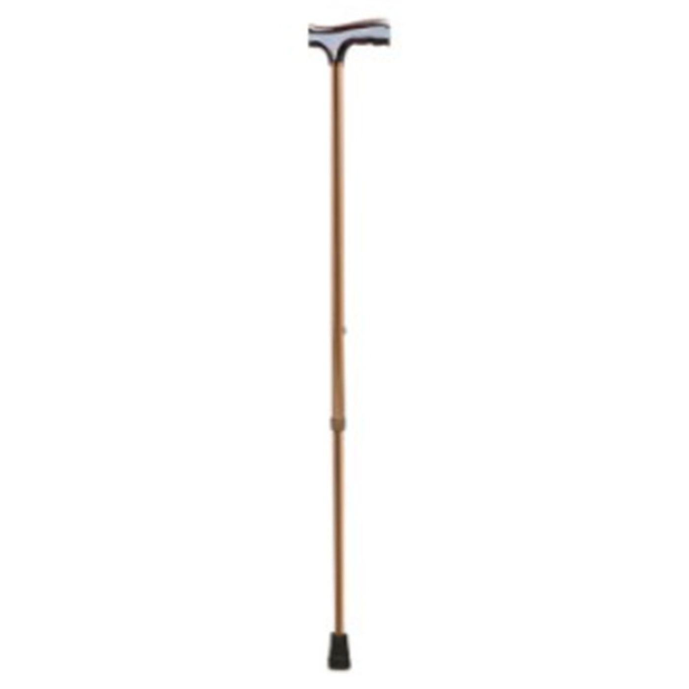 Walking Stick Fs930L