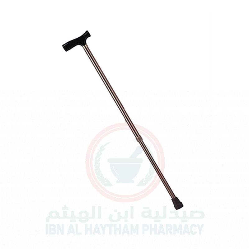 Walking Stick-Ca833 L5 Cane