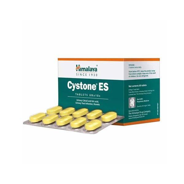 Cystone 60 Tab