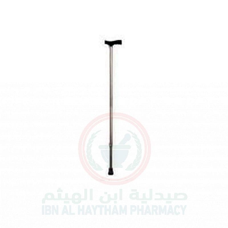 Walking Stick - Ca833L3