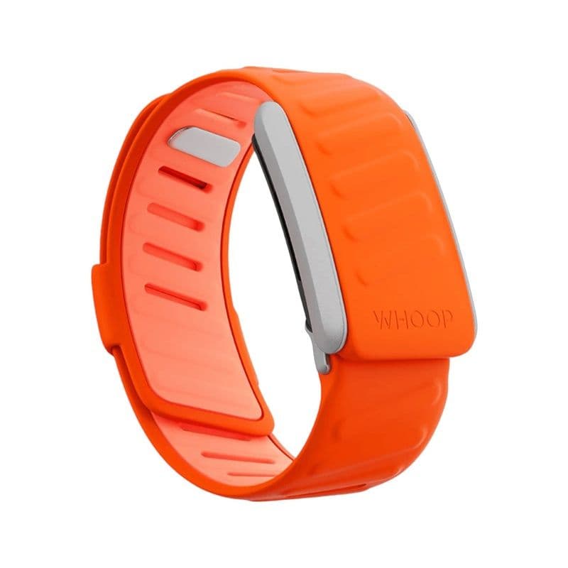 Whoop Surge Sportflex Band