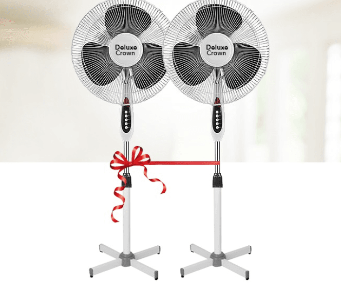 Deluxe Crown 16 Inches 3 Speed Floor Stand Fan - 2 Pcs