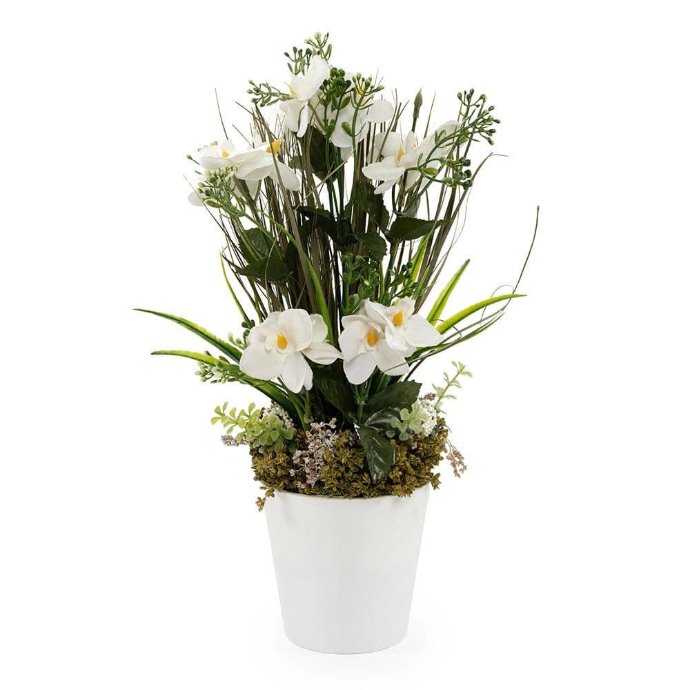 Dancing Orchid Garden Flowers With Pot, White - 17X17X39 Cm