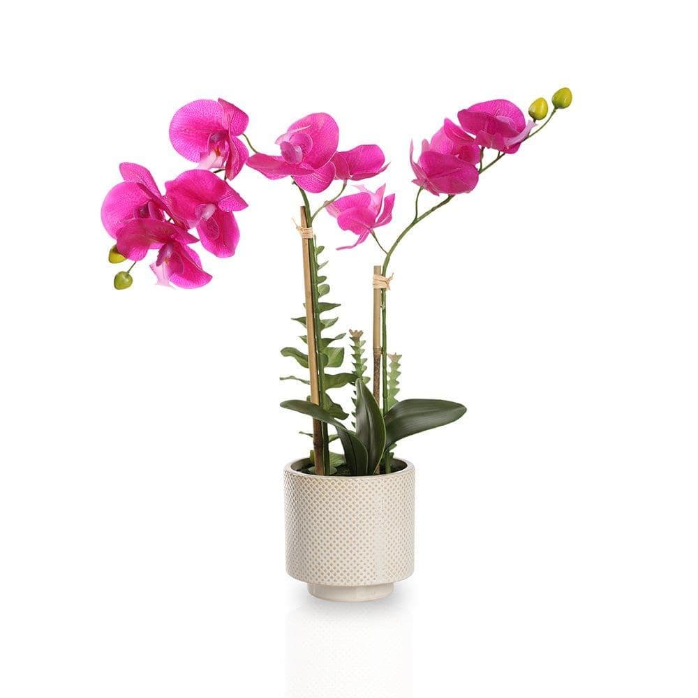 Real Touch Orchid In Ceramic Pot – 47 Cms