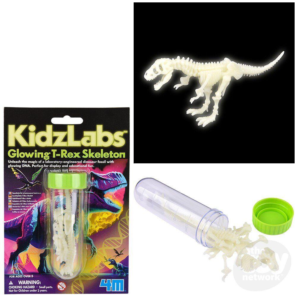 4M Kidzlabs Glowing T-Rex Skeleton Science Kit